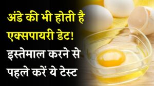 अंडे की भी होती है एक्सपायरी डेट! इस्तेमाल से पहले ऐसे करें टेस्ट, ऐसे रखें फ्रेश