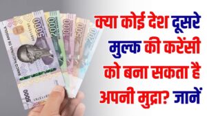 क्या कोई देश दूसरे मुल्क की करेंसी को बना सकता है अपनी मुद्रा? जानें 'डॉलराइजेशन' का पूरा खेल और इसके पीछे की वजह 7 क्या कोई देश दूसरे मुल्क की करेंसी को बना सकता है अपनी मुद्रा? जानें 'डॉलराइजेशन' का पूरा खेल और इसके पीछे की वजह