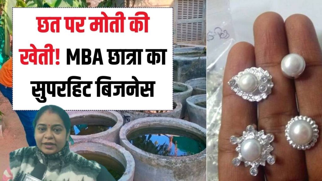 Business Idea: छत पर उगाए मोती और बदल ली किस्मत! कम लागत में बंपर मुनाफा, MBA छात्रा के इस बिजनेस को देखें