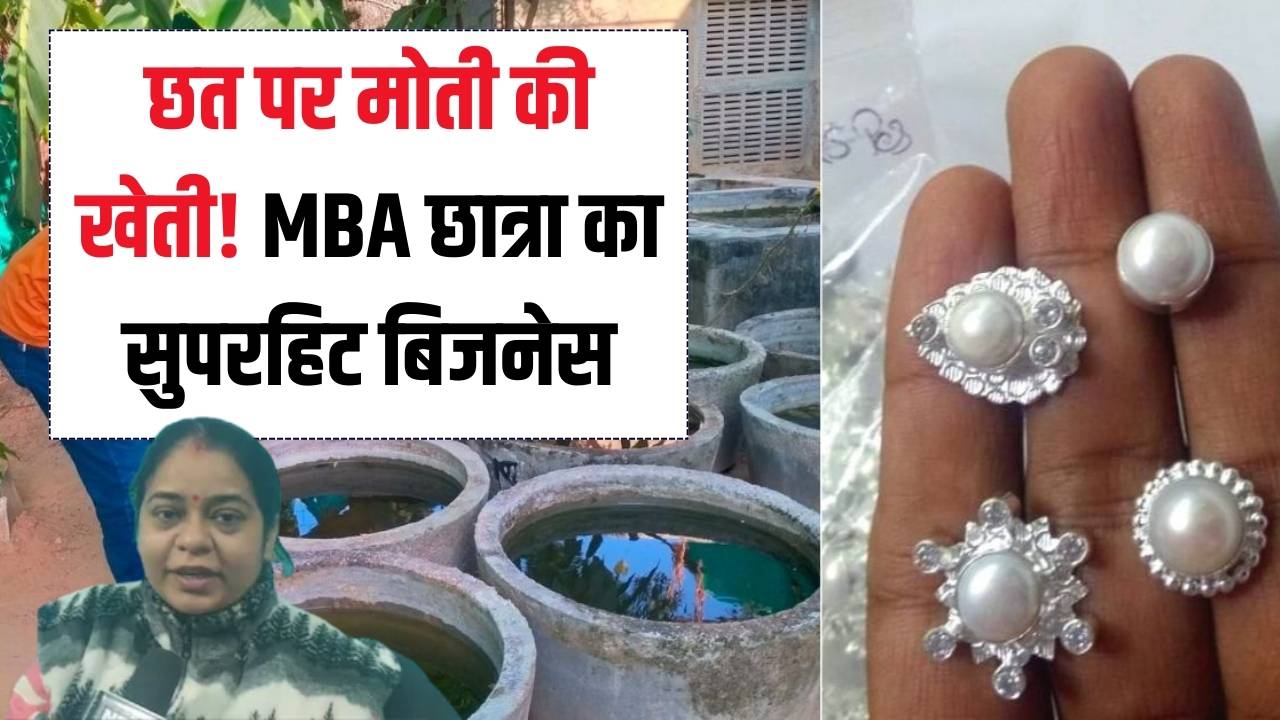 Business Idea: छत पर उगाए मोती और बदल ली किस्मत! कम लागत में बंपर मुनाफा, MBA छात्रा के इस बिजनेस को देखें