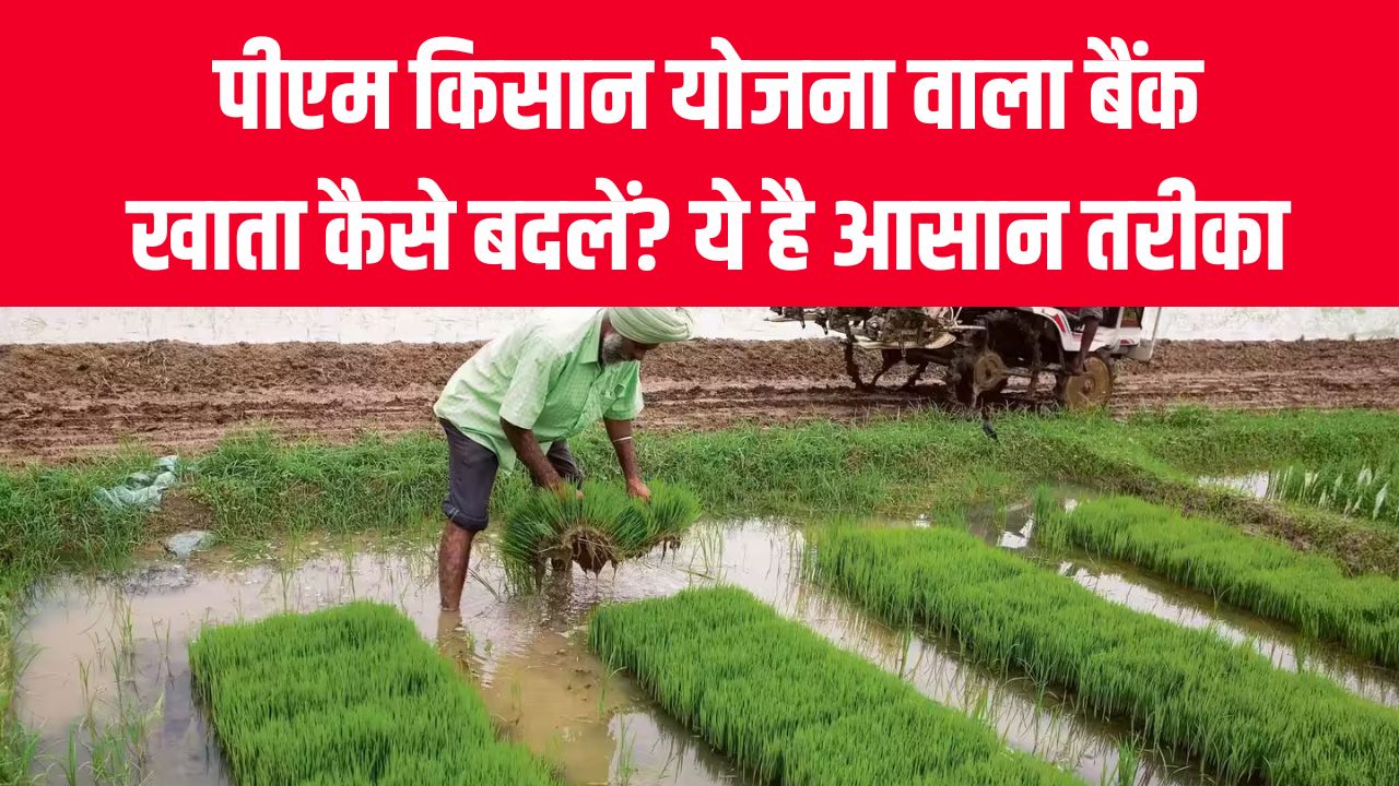 PM Kisan Update: पीएम किसान योजना वाला बैंक खाता कैसे बदलें? ये है आसान तरीका, तुरंत करें अपडेट
