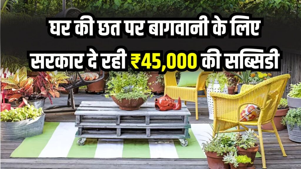 घर की छत पर बागवानी के लिए सरकार दे रही ₹45,000! कैसे मिलेगा लाभ जानें तुरंत