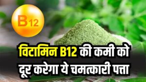 सिर्फ एक पत्ता दूर करेगा Vitamin B12 की कमी! बाबा रामदेव ने बताया झुनझुनी और सुन्नपन का इलाज