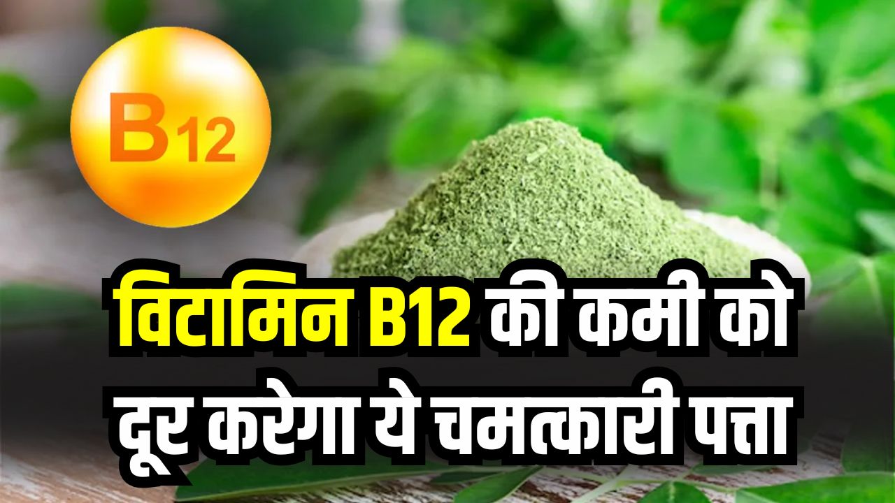 सिर्फ एक पत्ता दूर करेगा Vitamin B12 की कमी! बाबा रामदेव ने बताया झुनझुनी और सुन्नपन का इलाज