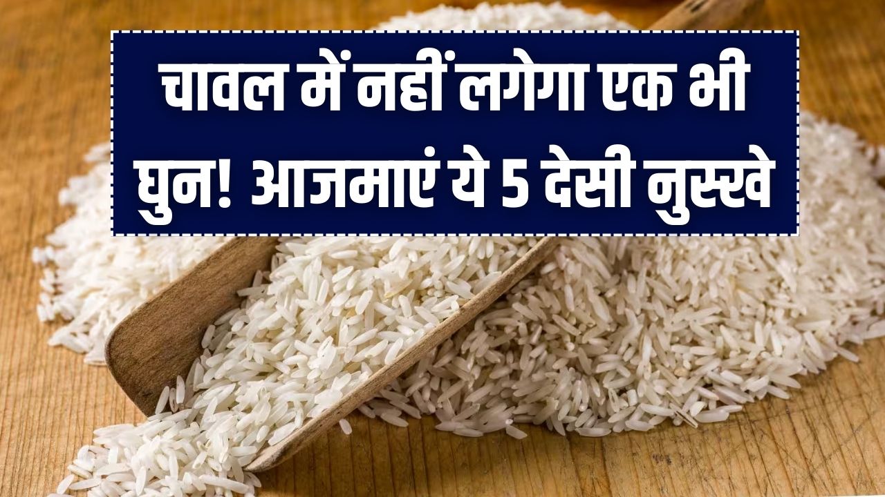 चावल में नहीं लगेगा एक भी घुन! आजमाएं ये 5 देसी नुस्खे, खुशबू भी रहेगी बरकरार