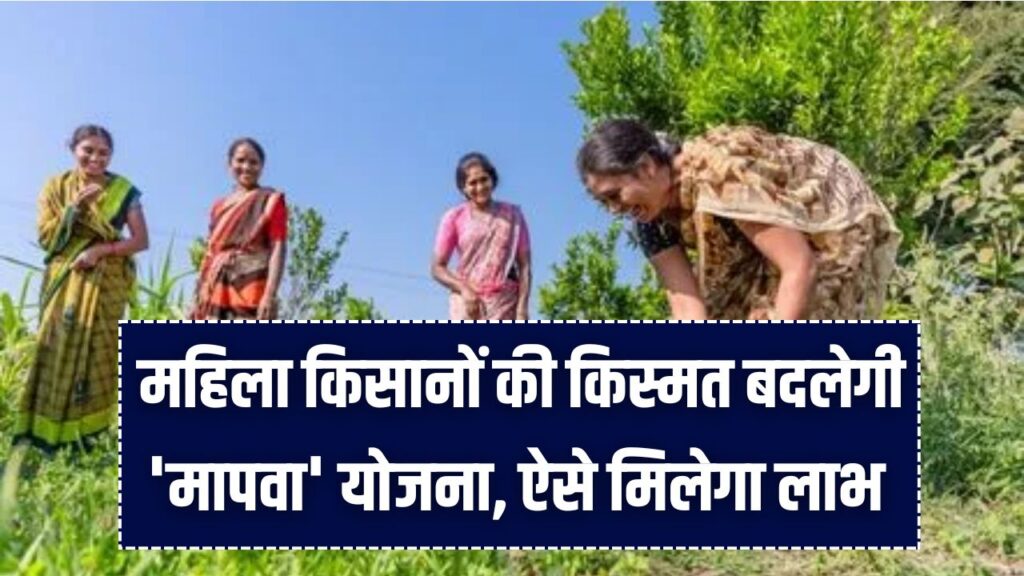 महिला किसानों के लिए 'मापवा' योजना बनी वरदान! MP सरकार देगी खेती के लिए बड़ी मदद; जानें