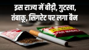 बीड़ी, गुटखा, तंबाकू, सिगरेट पर बैन! इस राज्य ने लिया चौंकाने वाला फैसला, क्या अब दुकानदारों को पुराना स्टॉक बेचना भी मना है? 3 बीड़ी, गुटखा, तंबाकू, सिगरेट पर बैन! इस राज्य ने लिया चौंकाने वाला फैसला, क्या अब दुकानदारों को पुराना स्टॉक बेचना भी मना है?