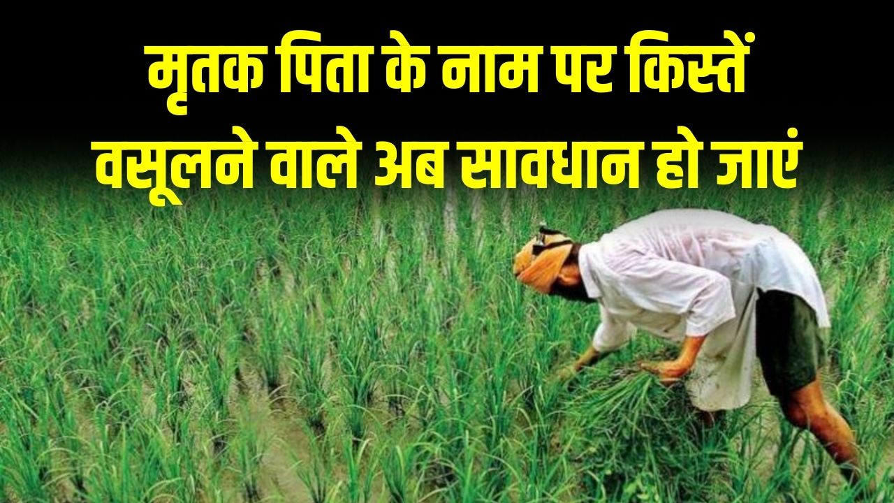 मृत किसानों के खाते में जा रही थी PM Kisan की किस्त! अब बेटों को चुकाना होगा पूरा हर्जाना, प्रशासन सख्त।
