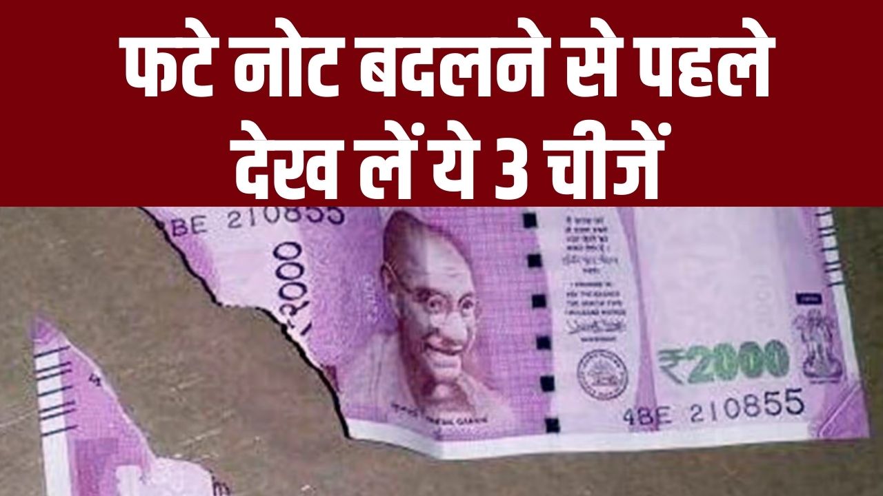 फटे नोट का 'सीरियल नंबर' गायब है? जानें क्या अब भी बैंक बदलेगा आपका नोट; RBI के 2026 के नए नियम यहाँ देखें।