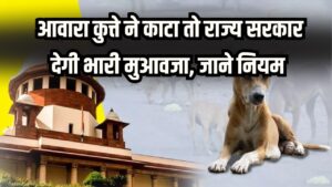 सुप्रीम कोर्ट का ऐतिहासिक फैसला! अब आवारा कुत्ते ने काटा तो राज्य सरकार देगी भारी मुआवजा, जानें क्या है नियम।