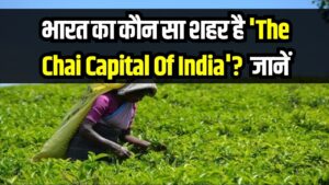 भारत का 'Chai Capital' कौन सा शहर है? जानें इसका इतिहास और जवाब