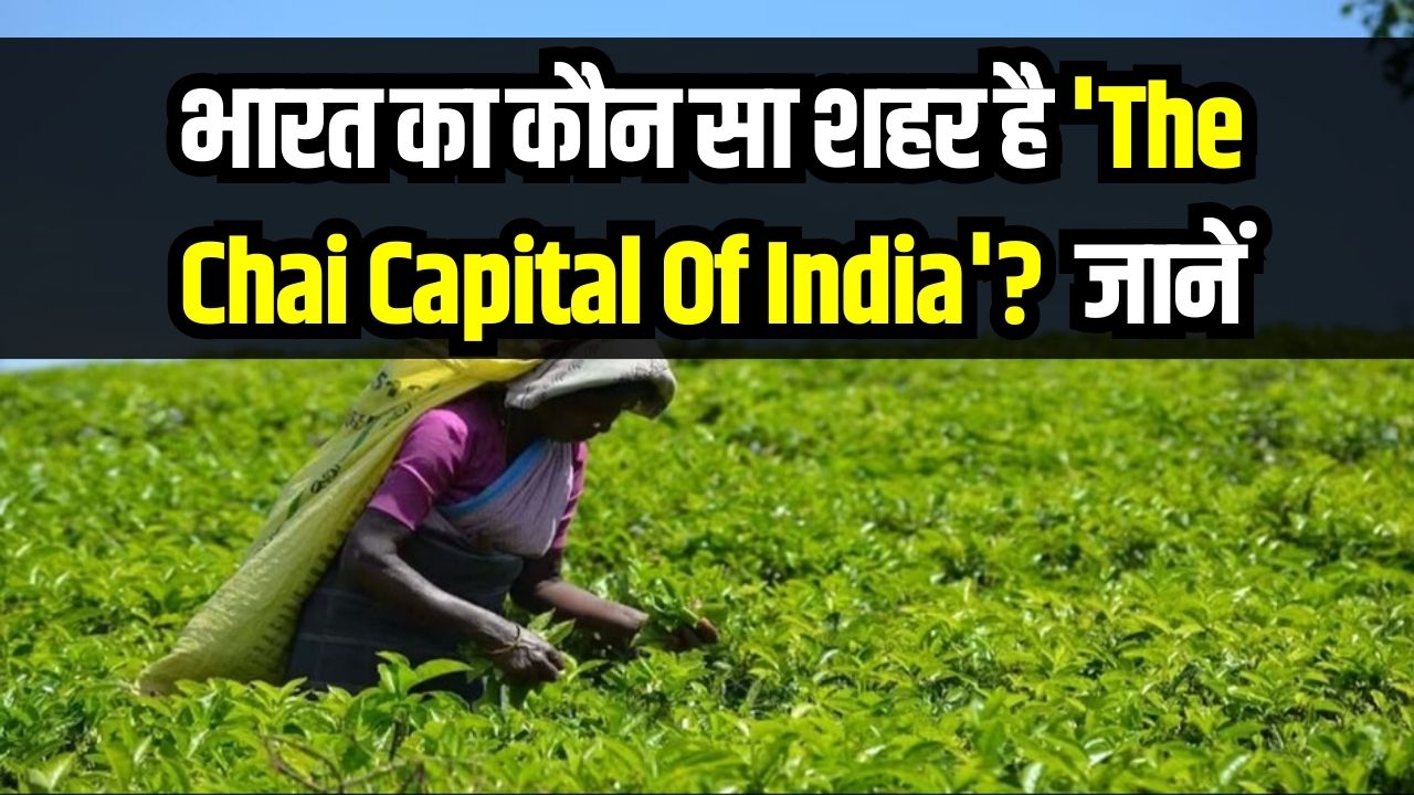 भारत का 'Chai Capital' कौन सा शहर है? जानें इसका इतिहास और जवाब