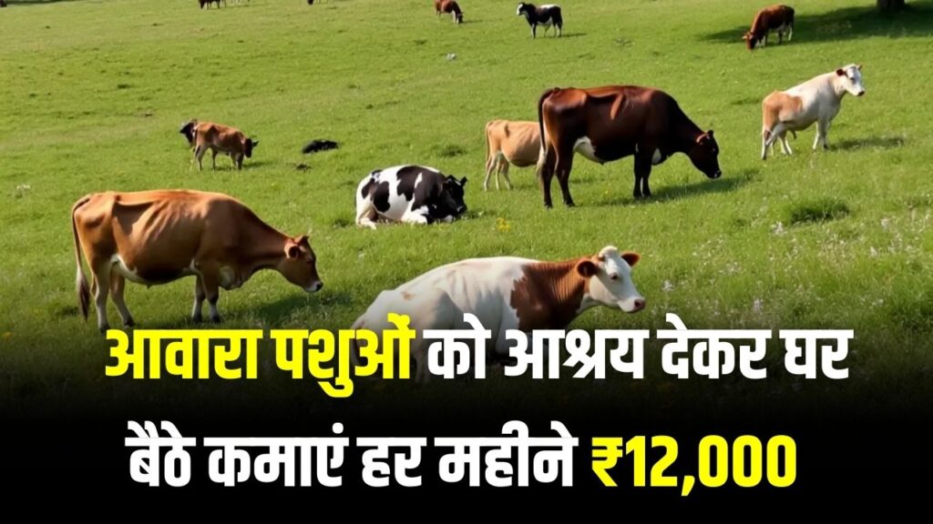 बेरोजगारों के लिए खुशखबरी! आवारा पशुओं को पालने पर उत्तराखंड सरकार देगी ₹12,000 महीना, घर बैठे कमाई का शानदार मौका।