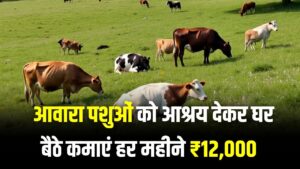 बेरोजगारों के लिए खुशखबरी! आवारा पशुओं को पालने पर उत्तराखंड सरकार देगी ₹12,000 महीना, घर बैठे कमाई का शानदार मौका।