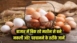 Fake Eggs: बाजार में बिक रहे हैं मशीन से बने अंडे! जानें कैसे बनते हैं नकली अंडे और उन्हें पहचानने के तरीके