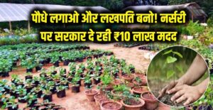 पौधे लगाओ और लखपति बनो! नर्सरी खोलने के लिए सरकार दे रही है ₹10 लाख की मदद, जानें किस राज्य में मिल रही है 50% तक सब्सिडी।