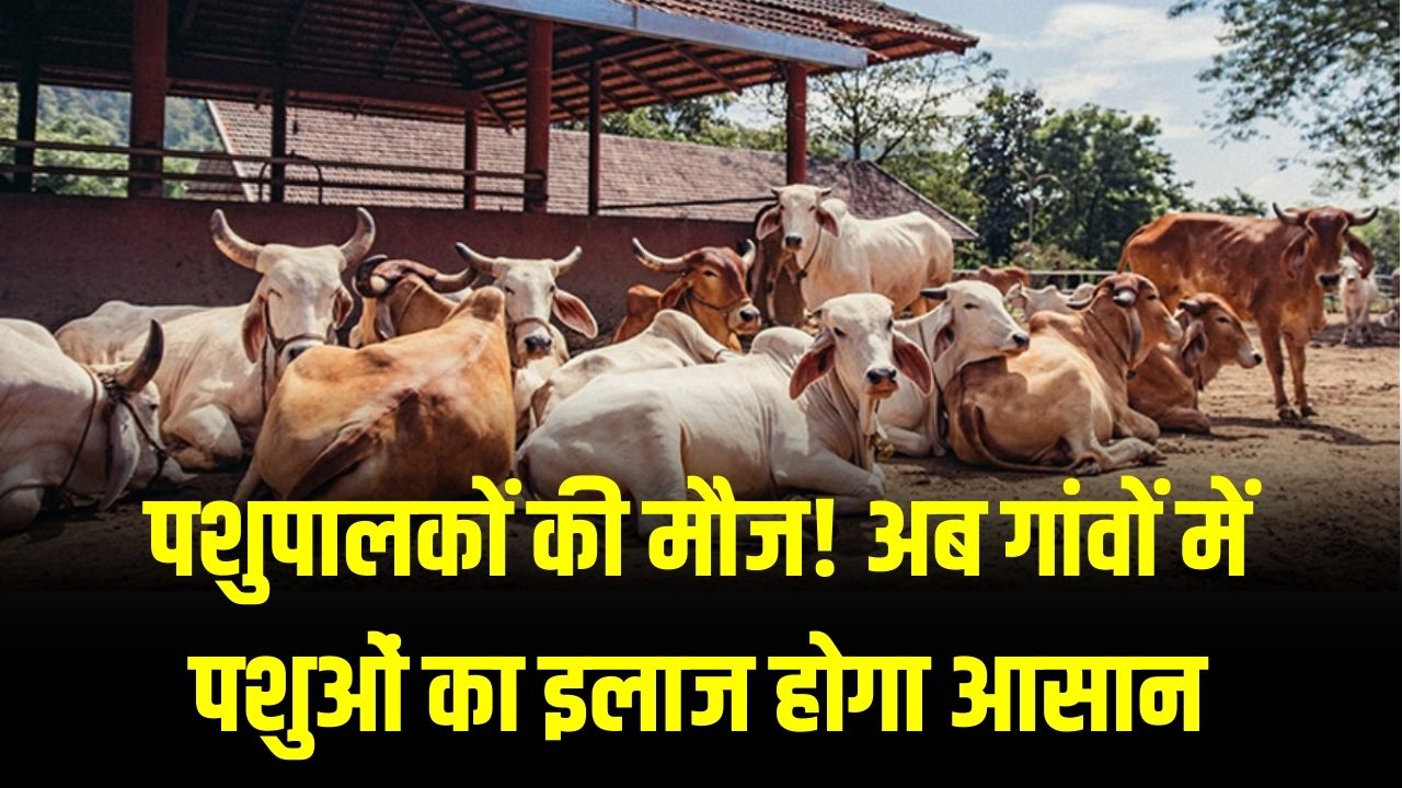 Animal Care: पशुपालकों की मौज! अब गांवों में पशुओं का इलाज होगा आसान; सरकार 20,000 नए पशु चिकित्सकों और पैरा-वेट्स की करेगी भर्ती।