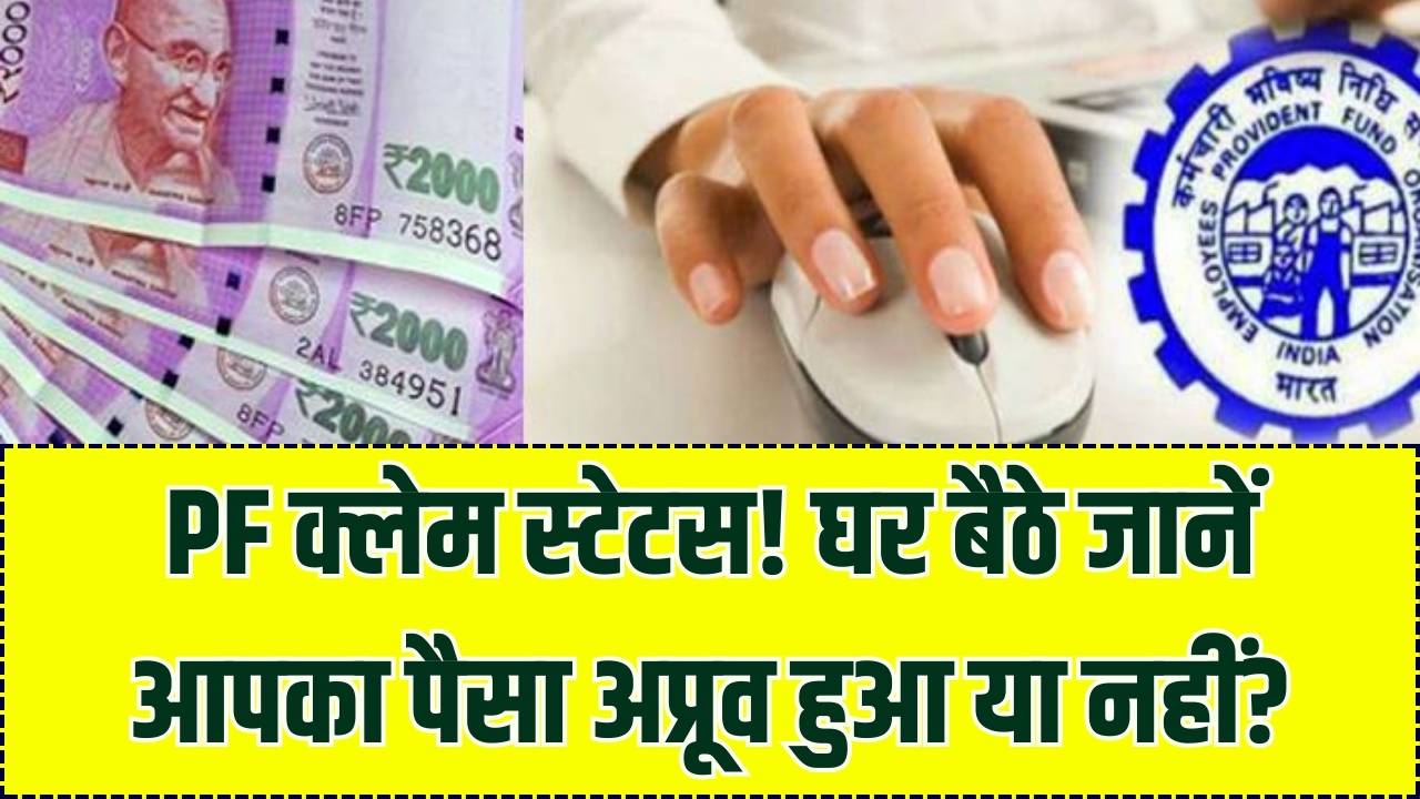 PF खाते से पैसे निकालने के लिए किया है आवेदन? घर बैठे ऐसे चेक करें क्लेम स्टेटस, जानें कितने पैसे हुए हैं अप्रूव