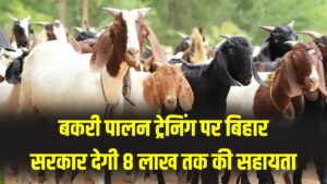 Goat Farming subsidy: युवाओं के लिए खुशखबरी! बकरी पालन पर बिहार सरकार देगी ₹8 लाख तक की मदद; जानें ट्रेनिंग और सब्सिडी का पूरा नियम।