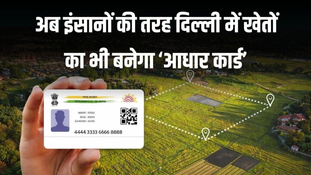 अब आपकी जमीन का होगा 'डिजिटल आधार', एक क्लिक में पकड़ा जाएगा असली हकदार; जानें फायदे