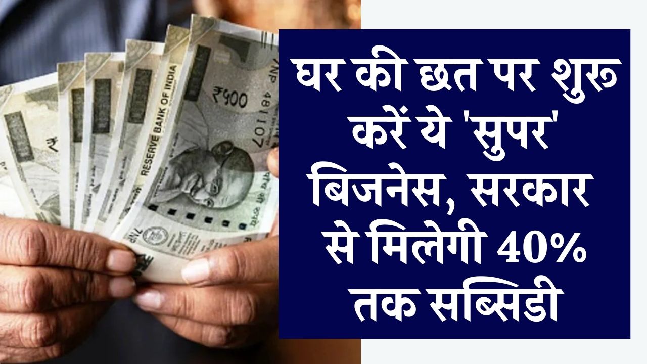 Business Idea: घर की छत पर शुरू करें ये 'सुपर' बिजनेस! कम लागत में मोटी कमाई और सरकार से मिलेगी 40% तक सब्सिडी; जानें डिटेल्स।