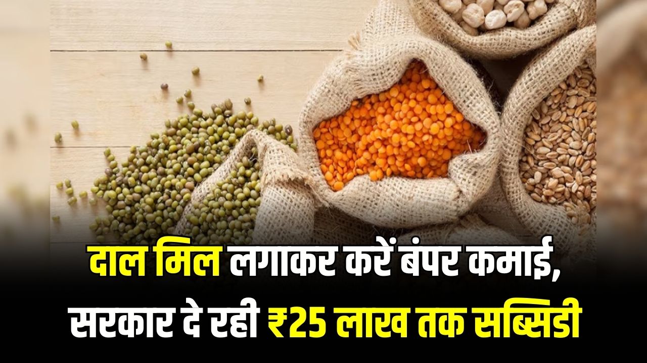 खुद की दाल मिल लगाएं और कमाएं बंपर मुनाफा! सरकार देगी ₹25 लाख तक की सब्सिडी; दलहन खेती पर ₹10,000 प्रति एकड़ बोनस।