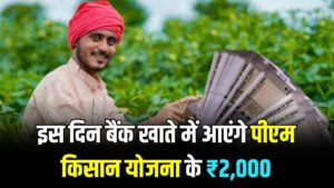 PM Kisan की अगली किस्त पर बड़ा अपडेट! इस दिन आएंगे खाते में ₹2,000? अपना स्टेटस ऐसे करें चेक 2 PM Kisan की अगली किस्त पर बड़ा अपडेट! इस दिन आएंगे खाते में ₹2,000? अपना स्टेटस ऐसे करें चेक