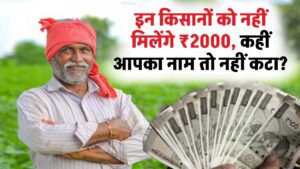 इन किसानों को नहीं मिलेंगे ₹2000! लिस्ट से कटा लाखों का नाम, कहीं आपने भी तो नहीं की ये एक गलती? 2 इन किसानों को नहीं मिलेंगे ₹2000! लिस्ट से कटा लाखों का नाम, कहीं आपने भी तो नहीं की ये एक गलती?