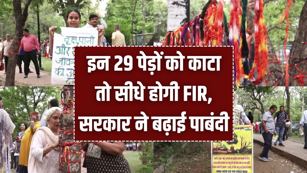 इन 29 पेड़ों को काटा तो सीधे होगी FIR; सरकार ने बढ़ाई पाबंदी, काटने से पहले जान लें ये सख्त नियम