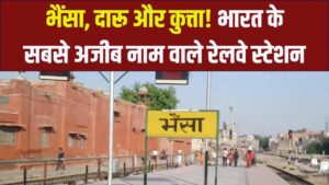 भैंसा, दारू और कुत्ता! भारत के इन रेलवे स्टेशनों के नाम सुनकर छूट जाएगी हंसी, टिकट मांगने में भी आती है शर्म 2 भैंसा, दारू और कुत्ता! भारत के इन रेलवे स्टेशनों के नाम सुनकर छूट जाएगी हंसी, टिकट मांगने में भी आती है शर्म