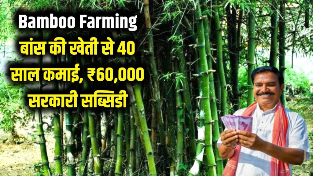 know bamboo farming subsidy 60000 this state government give 50 percent cost full update