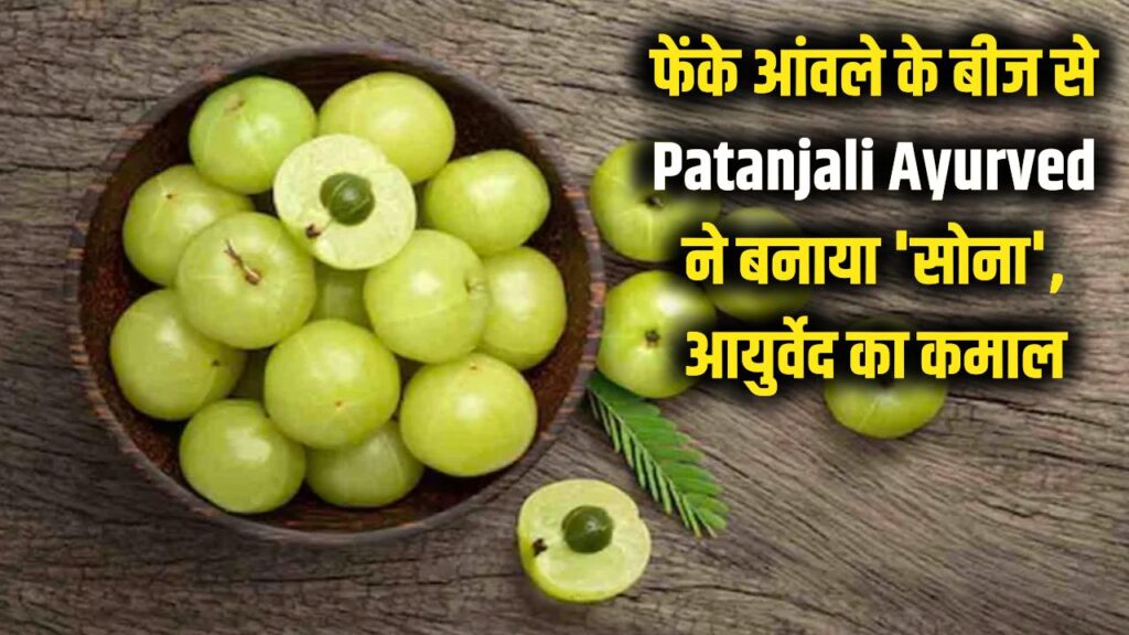 patanjali amla seed innovation baba ramdev wins global recognition for ayurveda