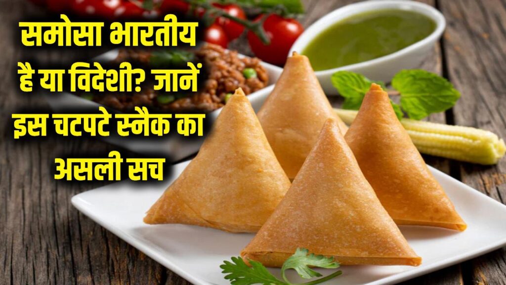 समोसा भारतीय है या विदेशी? 10वीं सदी से शुरू हुआ स्वाद का सफर; जानें इस चटपटे स्नैक का असली सच