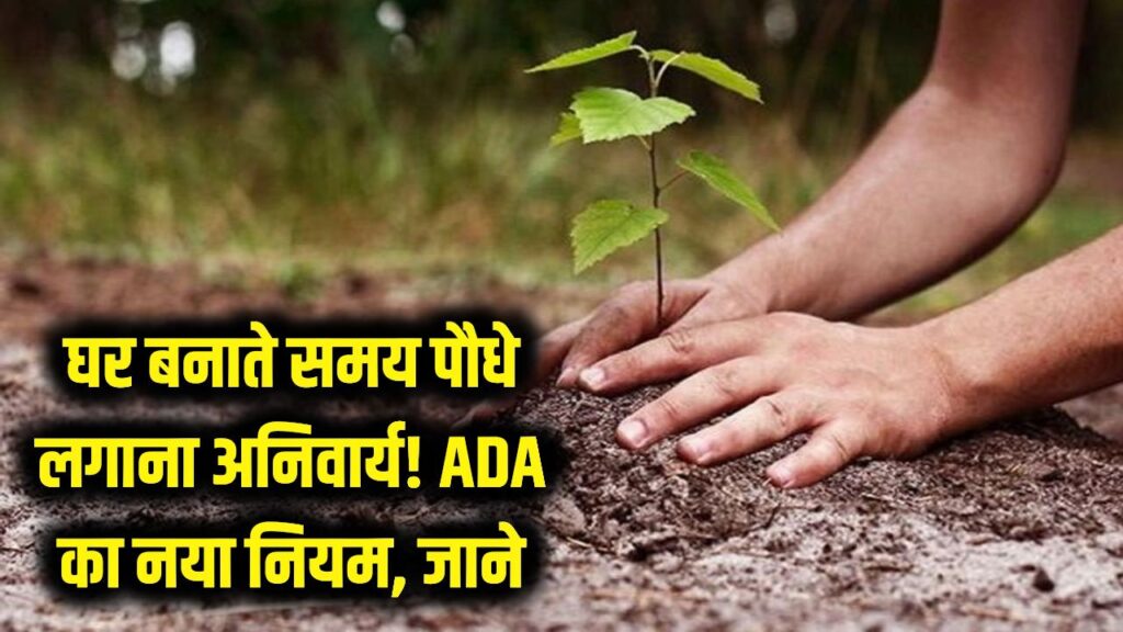 घर बनाने के साथ पौधे लगाना अब अनिवार्य! सिटी हीट एक्शन प्लान के तहत ADA ने बदला नियम; नक्शा पास कराने की नई शर्त