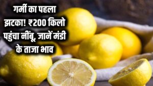 गर्मी का पहला झटका! ₹200 किलो पहुंचा नींबू; शिकंजी से लेकर सलाद तक सब कुछ हुआ महंगा, जानें मंडी के ताजा भाव