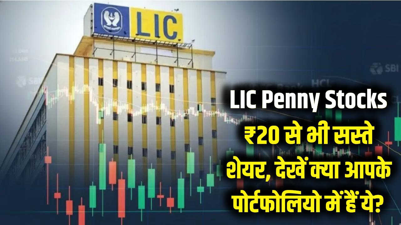 LIC's Penny Stocks: ₹20 से भी सस्ते इन शेयरों पर टिकी है LIC की नजर, क्या आपके पोर्टफोलियो में हैं ये?