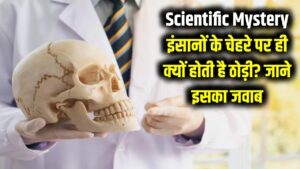 Scientific Mystery: इंसानों के चेहरे पर ही 'ठोड़ी' (Chin) क्यों होती है, जानवरों के क्यों नहीं? वैज्ञानिकों ने आखिर ढूंढ लिया इसका जवाब
