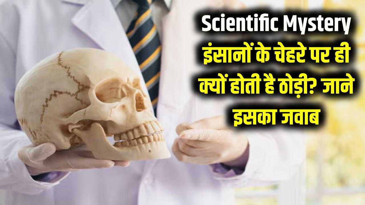 Scientific Mystery: इंसानों के चेहरे पर ही 'ठोड़ी' (Chin) क्यों होती है, जानवरों के क्यों नहीं? वैज्ञानिकों ने आखिर ढूंढ लिया इसका जवाब