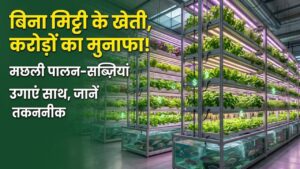 Aquaponics Farming: बिना मिट्टी के करें कमाल की खेती! मछली पालन के साथ उगाएं सब्जियां, इस नई तकनीक से होगा करोड़ों का मुनाफा