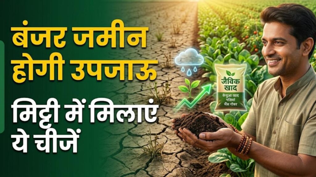 Farming Tips: बंजर जमीन भी उगलने लगेगी 'सोना'! मिट्टी में मिलाएं बस ये 2 चीजें और देखें फसल की रिकॉर्ड तोड़ पैदावार 1 barren land farming tips increase crop yield soil health