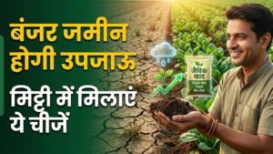 Farming Tips: बंजर जमीन भी उगलने लगेगी 'सोना'! मिट्टी में मिलाएं बस ये 2 चीजें और देखें फसल की रिकॉर्ड तोड़ पैदावार