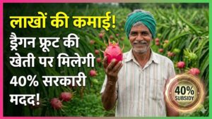 Dragon Fruit Farming: कम खर्च में लाखों की कमाई! ड्रैगन फ्रूट की खेती पर सरकार दे रही 40% सब्सिडी, जानें कैसे उठाएं फायदा 1 Dragon Fruit Farming: कम खर्च में लाखों की कमाई! ड्रैगन फ्रूट की खेती पर सरकार दे रही 40% सब्सिडी, जानें कैसे उठाएं फायदा