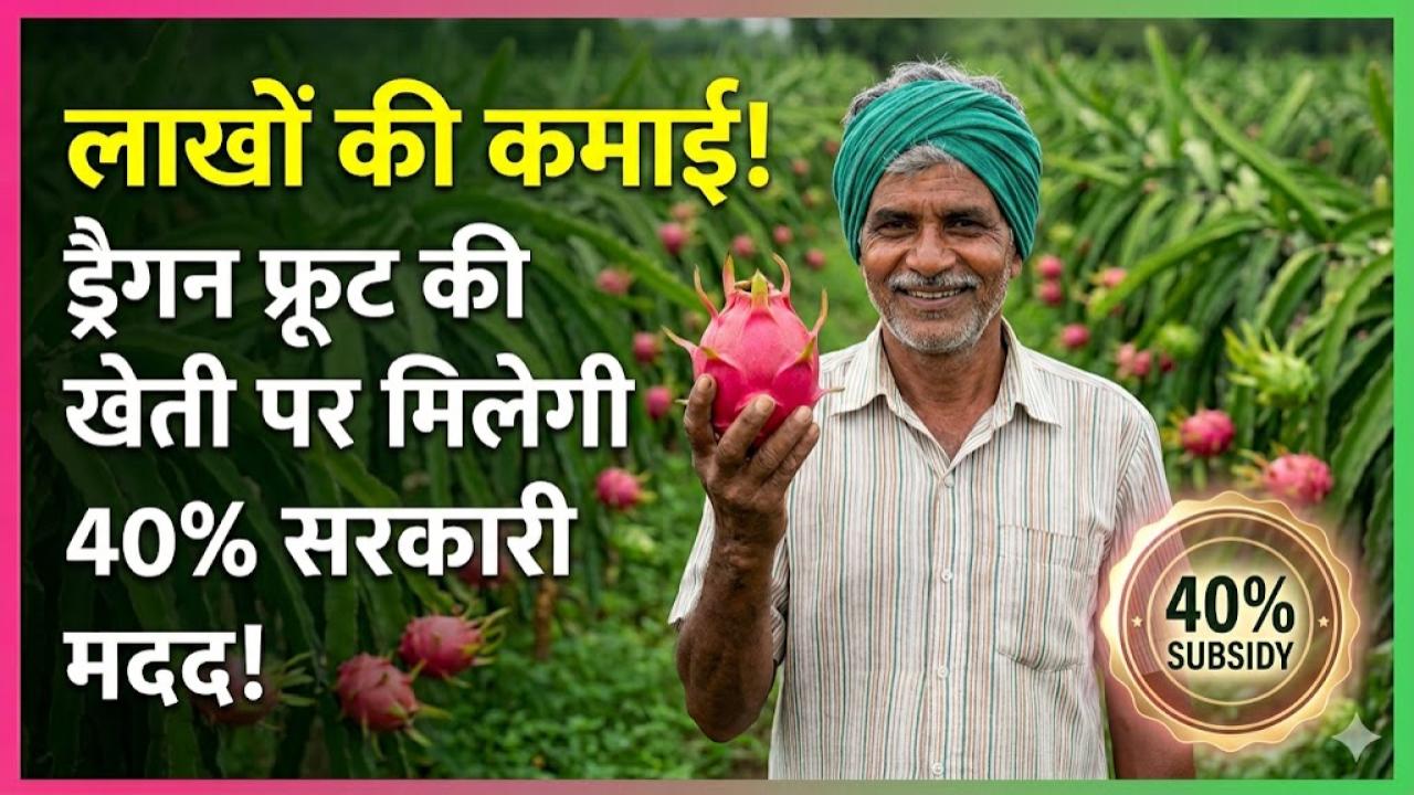 Dragon Fruit Farming: कम खर्च में लाखों की कमाई! ड्रैगन फ्रूट की खेती पर सरकार दे रही 40% सब्सिडी, जानें कैसे उठाएं फायदा