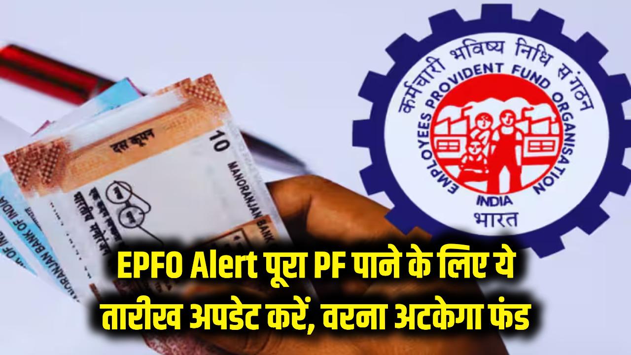 EPFO Alert: पीएफ का पूरा पैसा चाहिए? फौरन ऑनलाइन अपडेट करें ये खास तारीख, वरना फंस जाएगा फंड