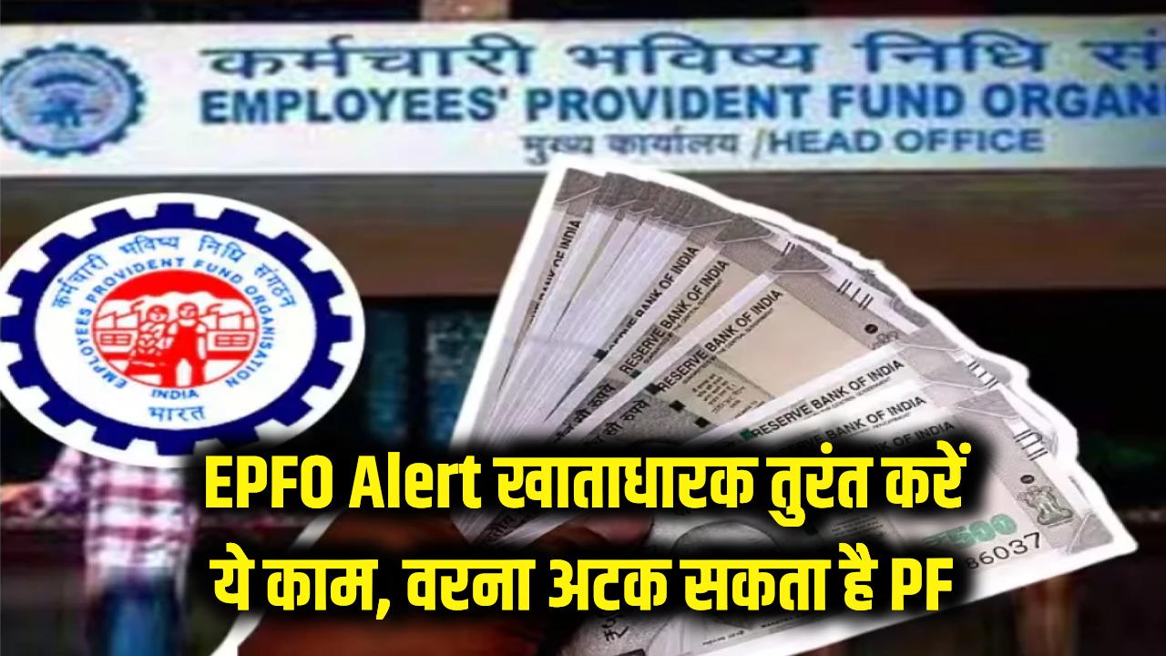 EPFO Alert: पीएफ खाताधारक तुरंत निपटा लें ये जरूरी काम! एक छोटी सी गलती और अटक जाएगी आपकी मेहनत की कमाई