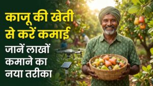 Cashew Farming: काजू की खेती से होगी नोटों की बारिश! बस इस वैज्ञानिक तरीके को अपनाएं, कम लागत में कमाएं लाखों 4 Cashew Farming: काजू की खेती से होगी नोटों की बारिश! बस इस वैज्ञानिक तरीके को अपनाएं, कम लागत में कमाएं लाखों