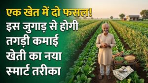 Intercropping Farming: एक ही खेत में एक साथ उगाएं दो फसलें! किसान भाई इस 'जुगाड़' से कर सकते हैं तगड़ी कमाई, जानें तरीका