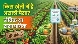 Farming Profit: जैविक या रासायनिक… किस खेती में है असली पैसा? किसानों के लिए आई काम की रिपोर्ट, जानें कहाँ है ज्यादा मुनाफा