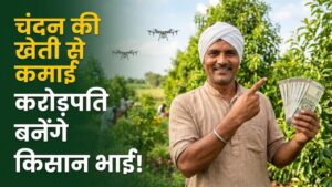 Sandalwood Farming: एक पेड़ की कीमत ₹5 लाख तक! चंदन की खेती से किसान बन सकते हैं करोड़पति, जानें फसल उगाने का सही तरीका