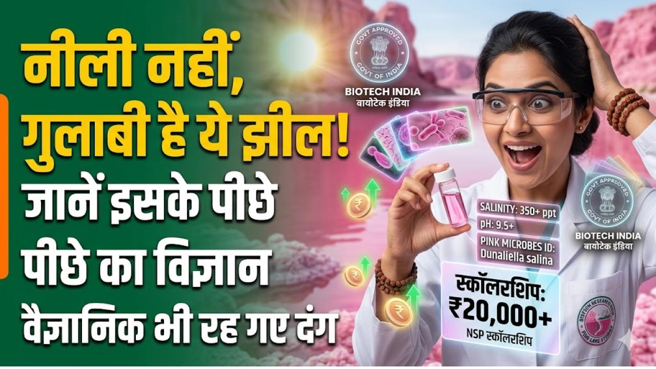 Pink Lake Science: नीली नहीं, इस झील का रंग है गुलाबी! प्रकृति का ये नजारा देख वैज्ञानिक भी रह गए दंग, जानें इसके पीछे का राज